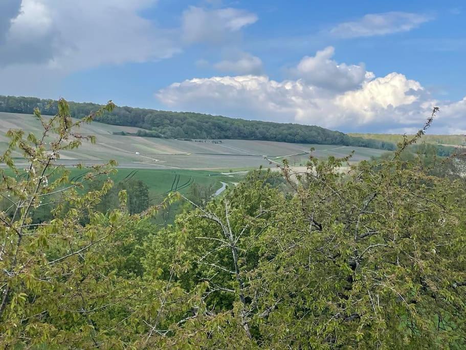Maison D'Hotes Baslieux-sous-Chatillon Εξωτερικό φωτογραφία
